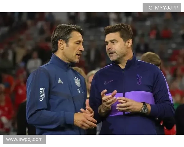 波西奥周四重生记帕拉蒂奇关键